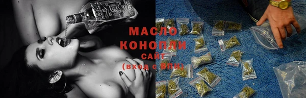 МДПВ Елабуга