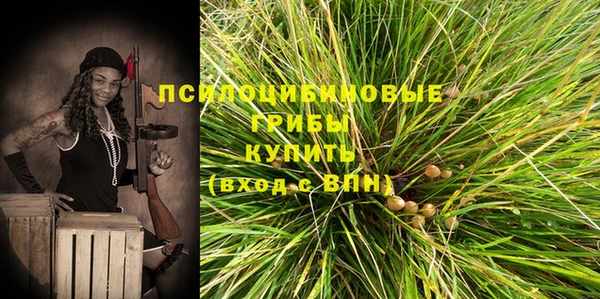 героин Ельня