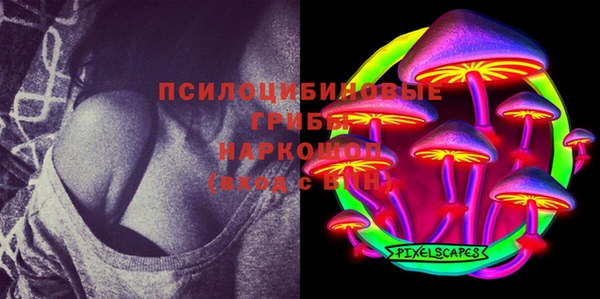 МДПВ Елабуга