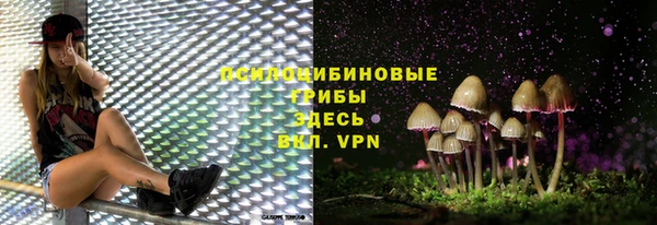 героин Ельня