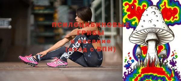 героин Ельня