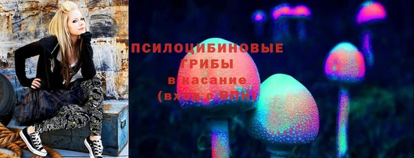 героин Ельня